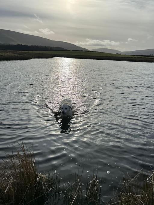 Syn Y Nant Llangorse Exterior foto